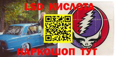 прущие грибы Конаково