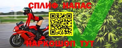 прущие грибы Конаково