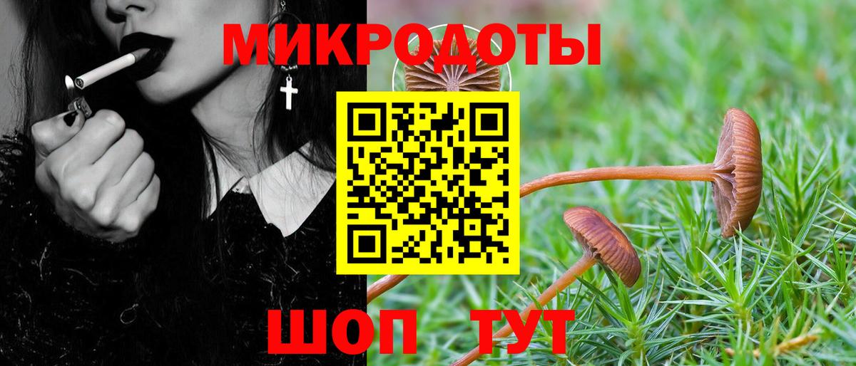 Псилоцибиновые грибы GOLDEN TEACHER  Псилоцибиновые грибы Psilocybe  Ирбит  Вход с VPN 